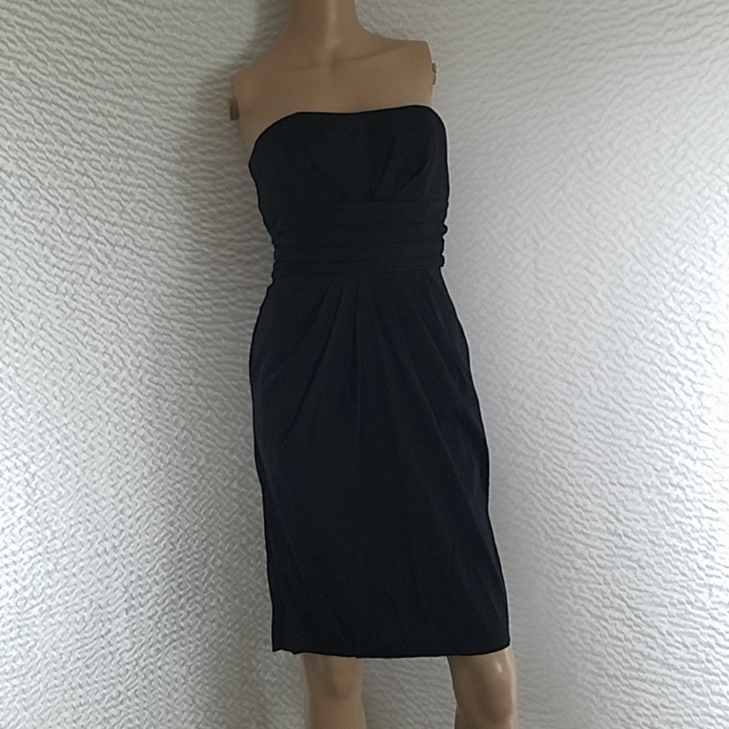 Betsy Adam Dress